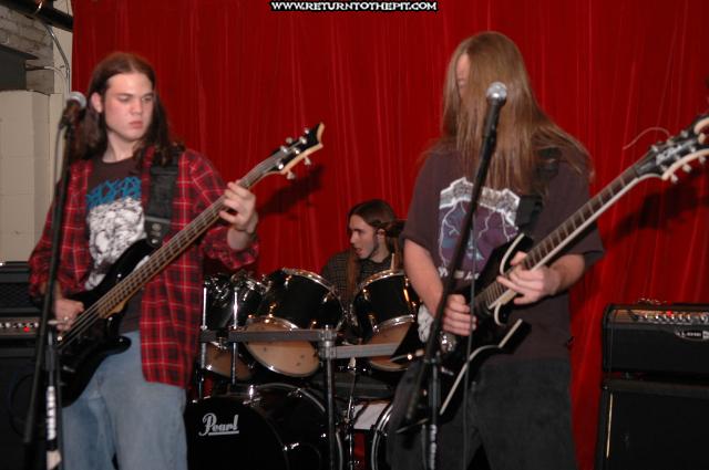 [dissector on Nov 11, 2004 at AS220 (Providence, RI)]