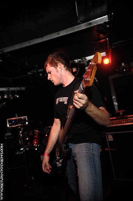 [parasitic extirpation on Oct 19, 2008 at Dover Brick House (Dover, NH)]