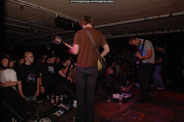 [pelican on Jul 24, 2005 at Middle East (Cambridge, Ma)]