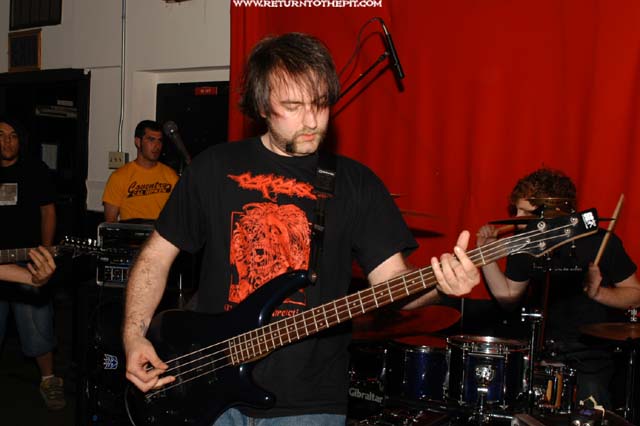 [shallows and flats on May 10, 2003 at the Pogo Club (Norwich, CT)]