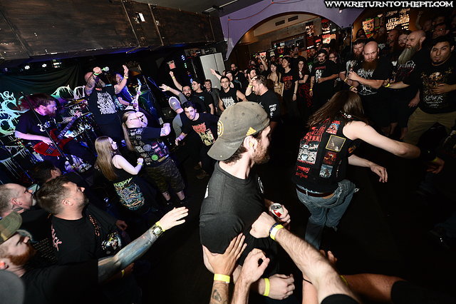 [the absence on May 31, 2019 at Jewel Music Venue (Manchester NH)]