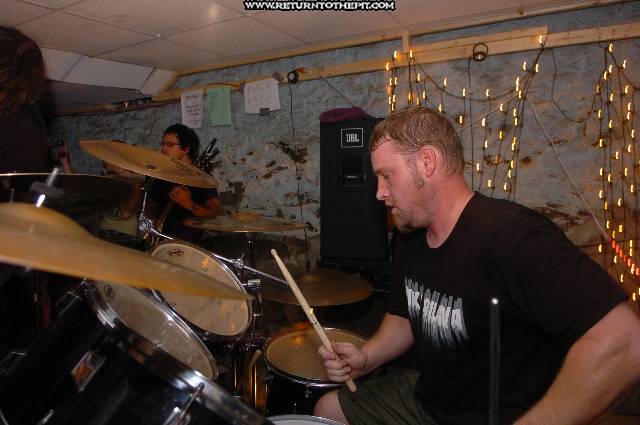 [withered on Aug 28, 2005 at the Library (Allston, Ma)]